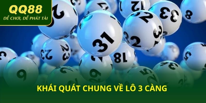 Khái quát chung về lô 3 càng 