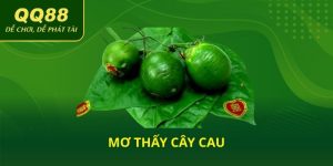 Mơ thấy cây cau