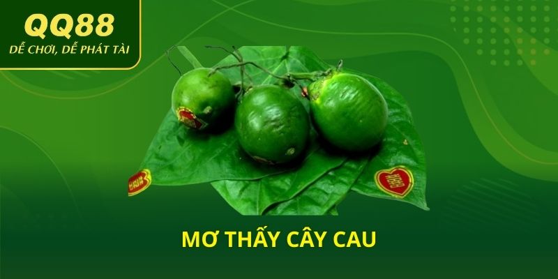 Mơ thấy cây cau