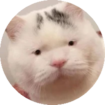 Khách hàng Kha Thy Nát